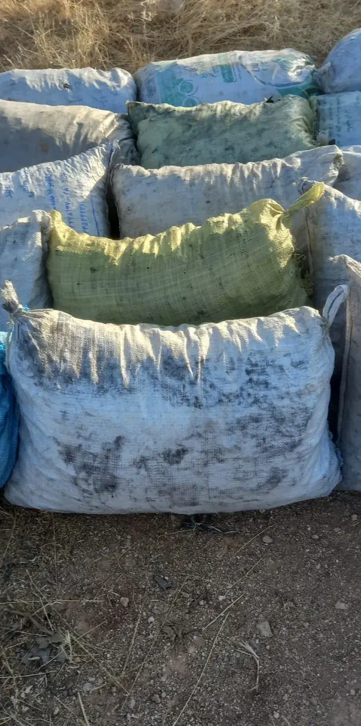 ژغال کبابی|کوهنوردی و کمپینگ|رستم, |دیوار