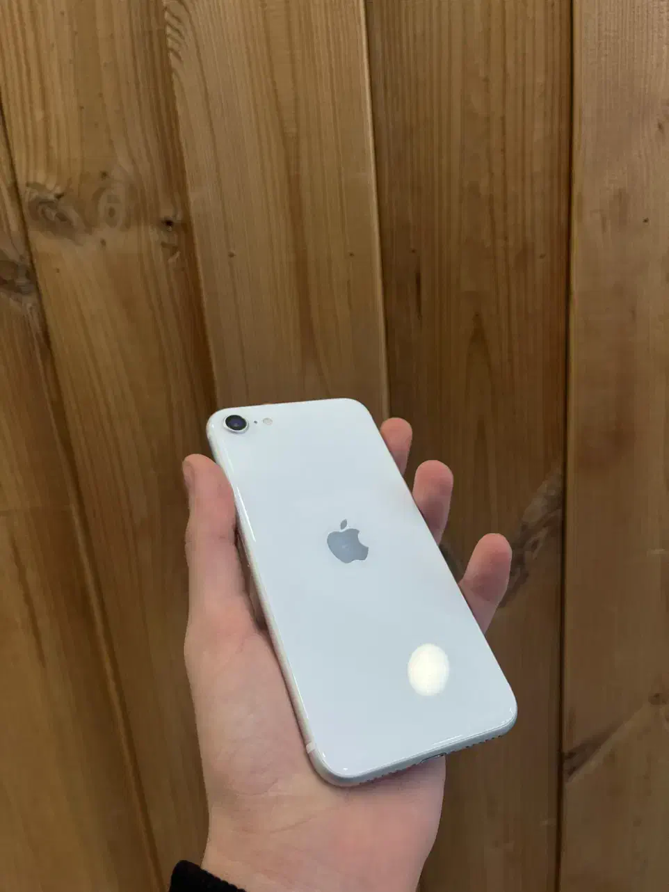 SE 2020 - 128gb|موبایل|رشت, چله خانه|دیوار