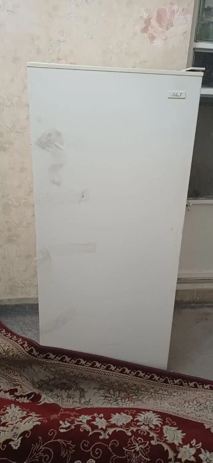 یخچال وفرش|فرش|شیراز, غدیر جنوبی|دیوار