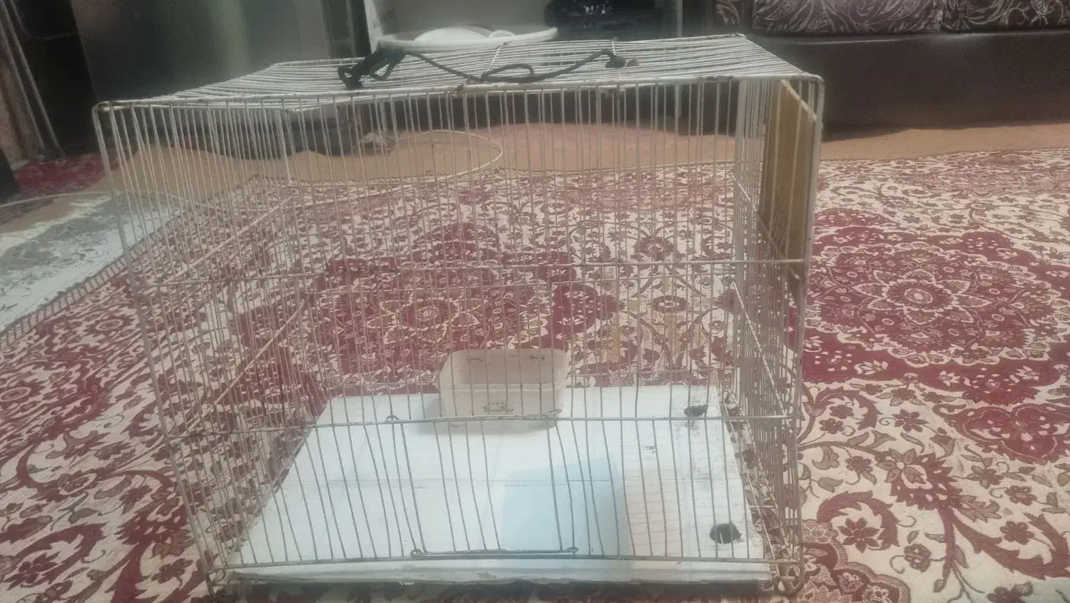 قفسه پرنده|لوازم جانبی حیوانات|مشهد, انصار|دیوار