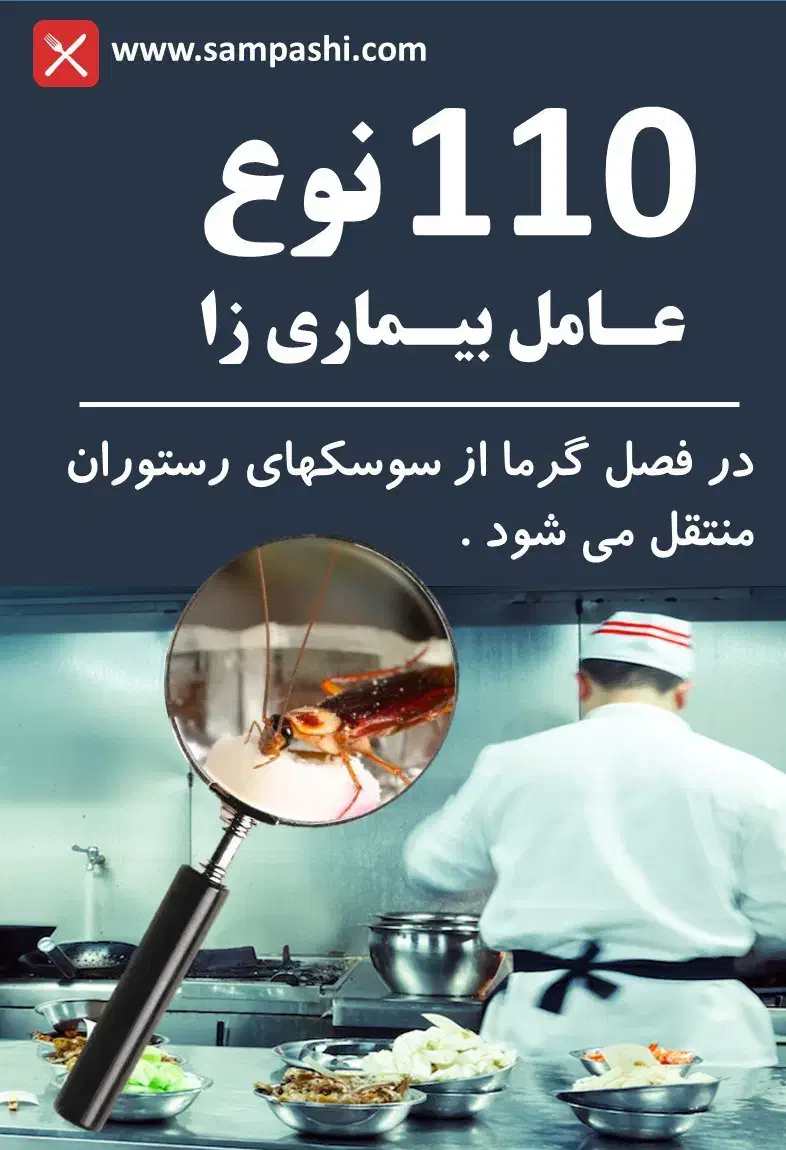 سمپاشی تخصصی رستوران و شرکت ها|خدمات نظافت|تهران, دروس|دیوار