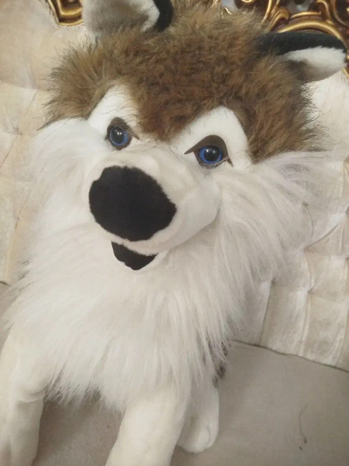 عروسک|اسباببازی بچه|تبریز, |دیوار