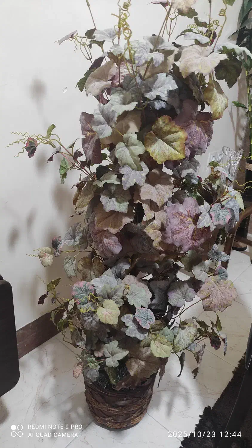 لوازم دکوری وتزئینی|گل مصنوعی|دوگنبدان, |دیوار