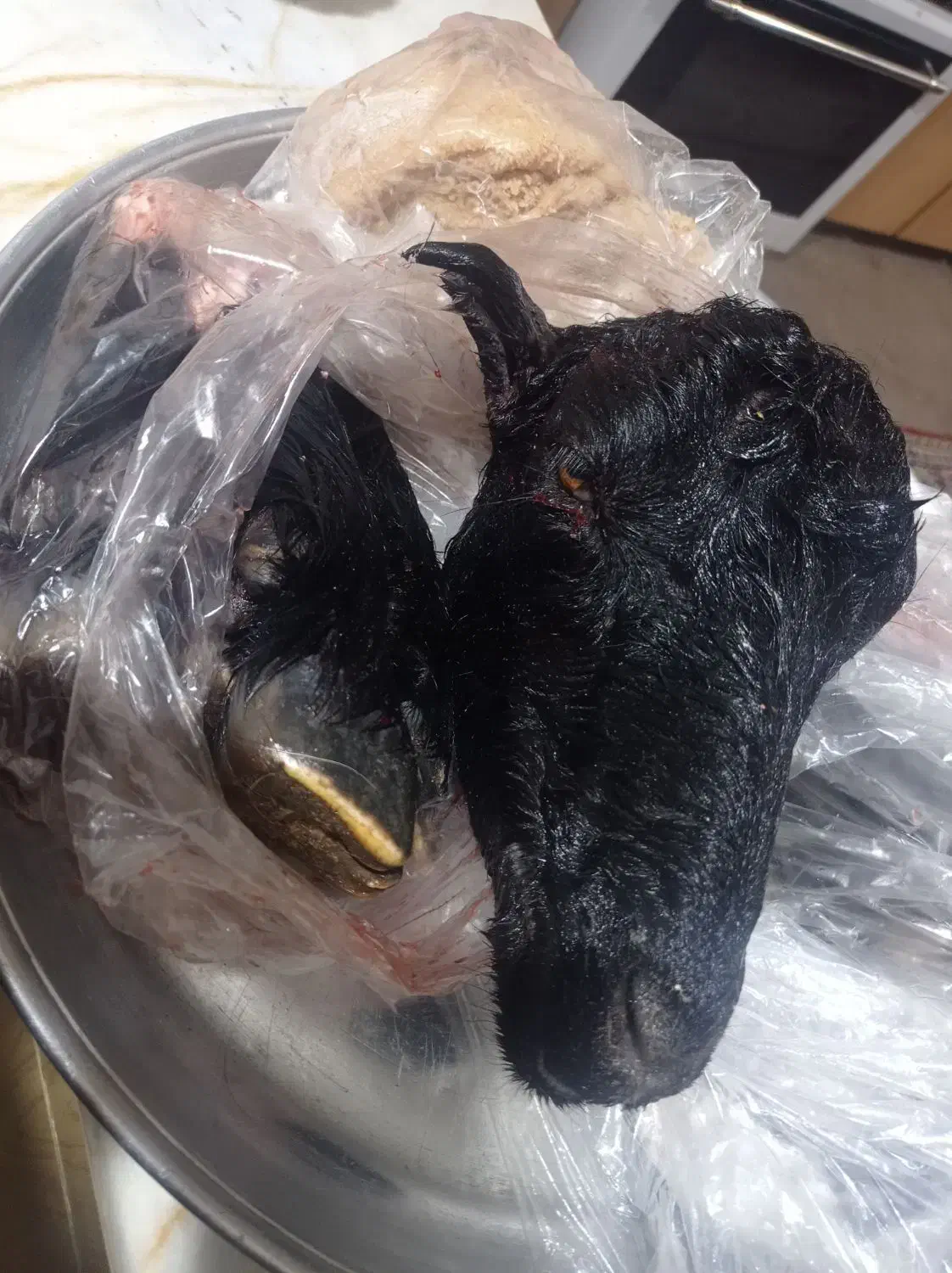 کله پاچه|خوردنی و آشامیدنی|بندر کنگان, |دیوار