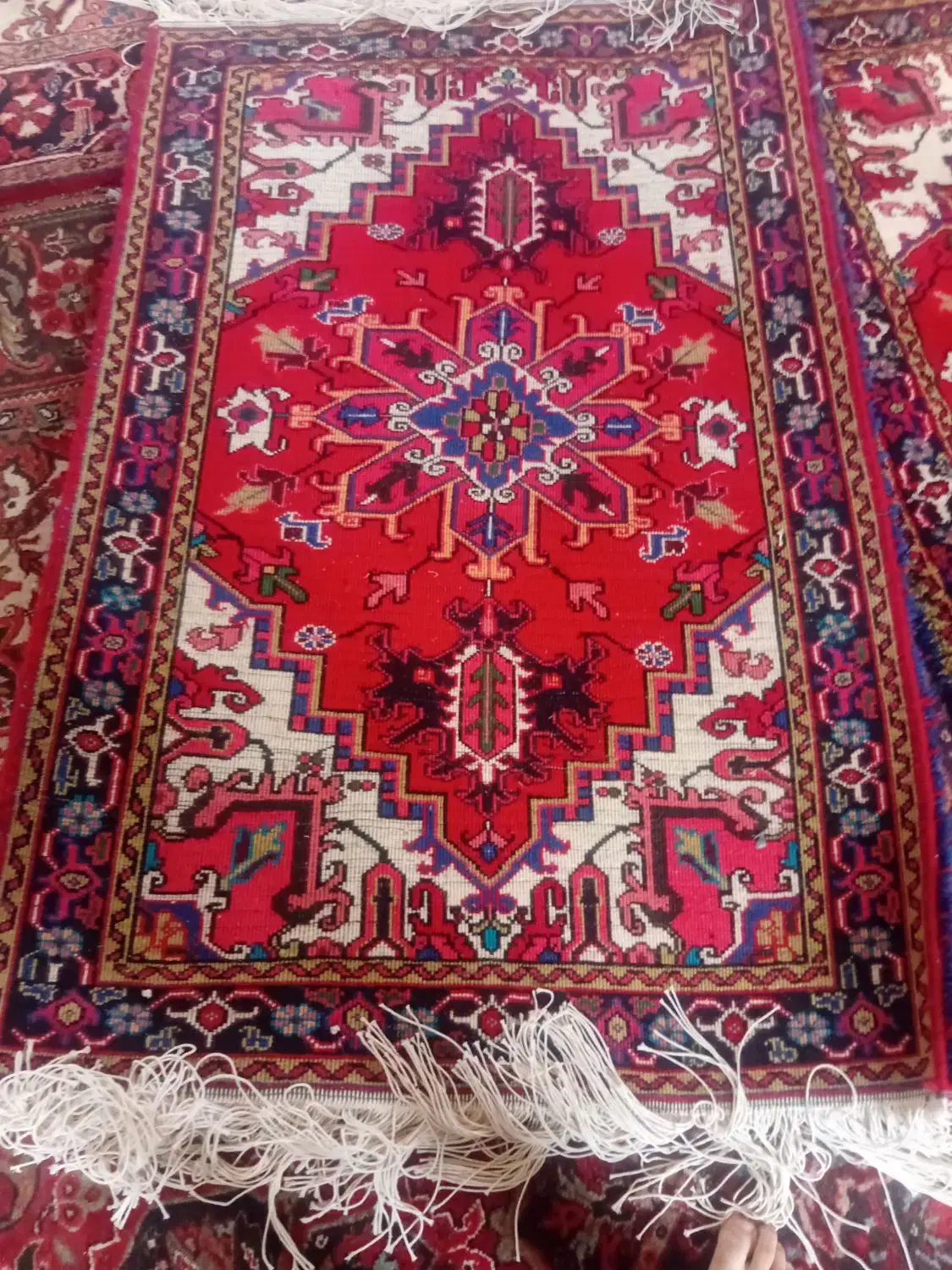 ۲ عدد فرش دستبافت ۱×۱.۵|فرش|تبریز, |دیوار