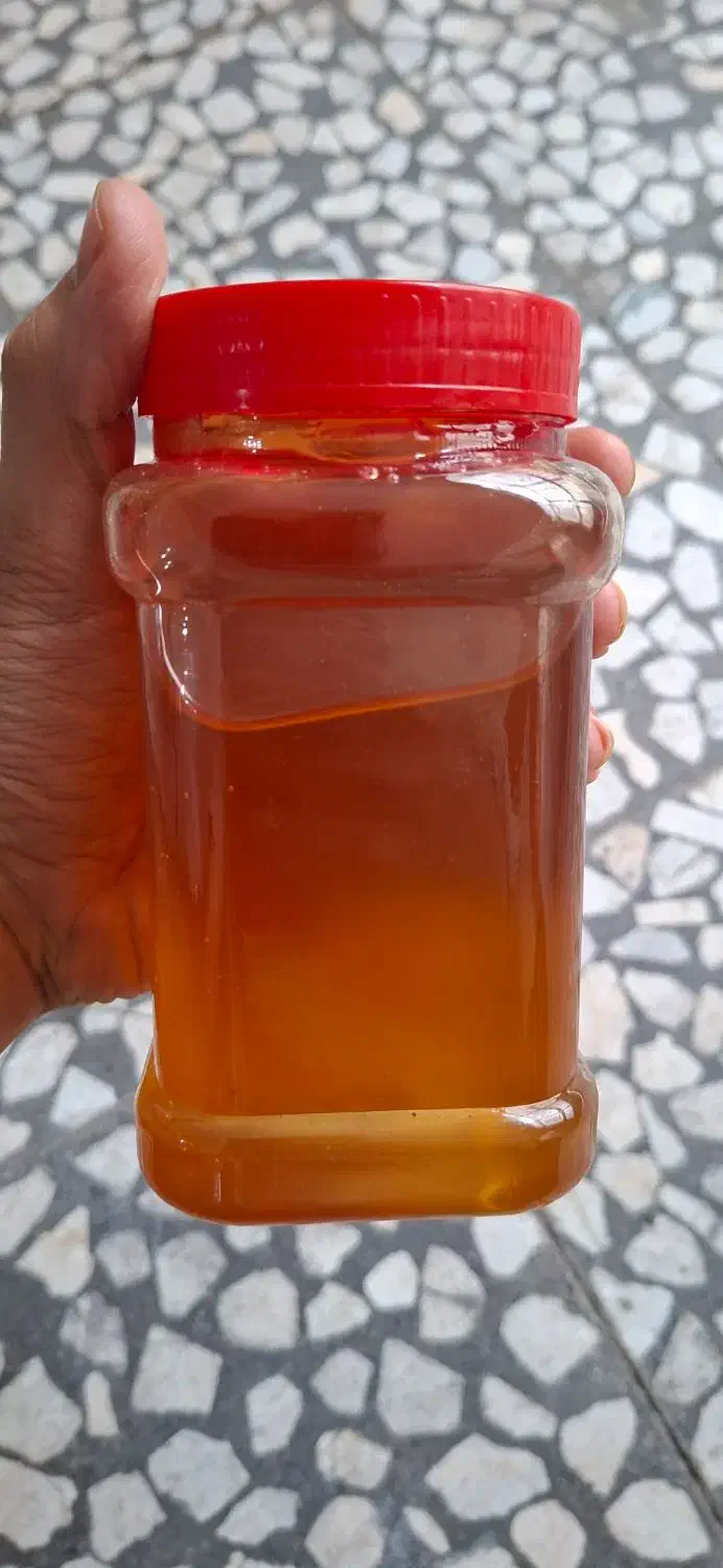 عسل موم دار 600 گرمی|خوردنی و آشامیدنی|فردیس, شهرک شهید حسینی|دیوار