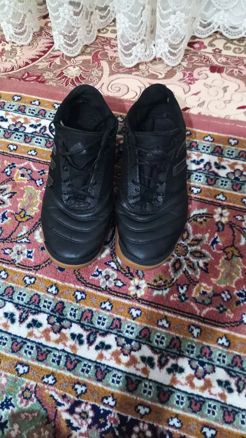 کفش سالن|کیف، کفش، کمربند|شاهین دژ, |دیوار