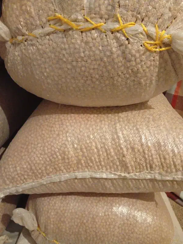 نخود گکسو|عمده‌فروشی|جوانرود, |دیوار