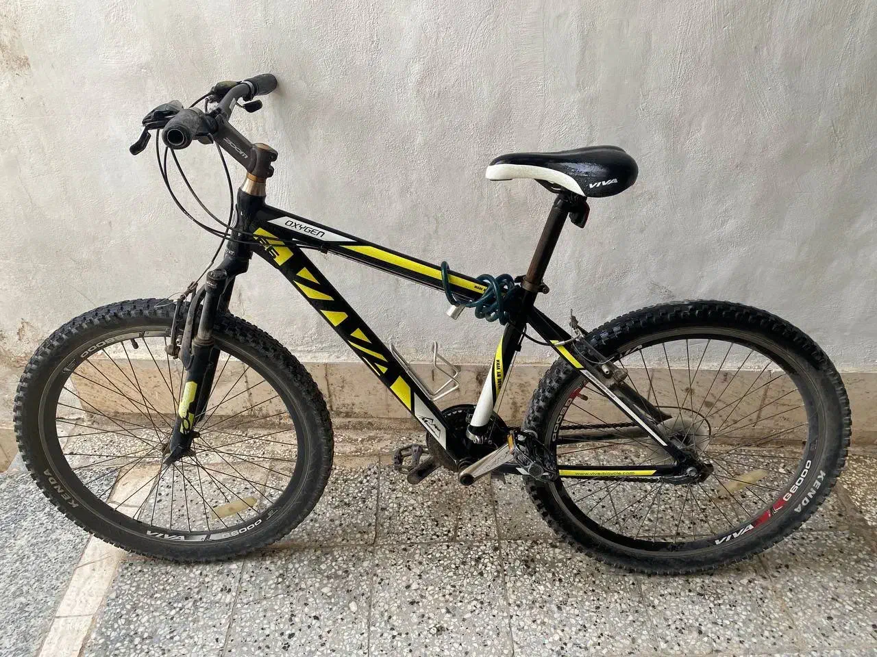 دوچرخه ۲۶ ویوا اکسیژن|دوچرخه، اسکیت، اسکوتر|تربتحیدریه, میدان مرکزی|دیوار