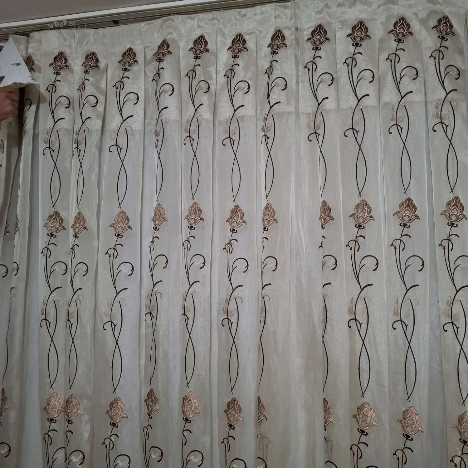 پرده پذیرایی|پرده، رانر، رومیزی|ارومیه, |دیوار