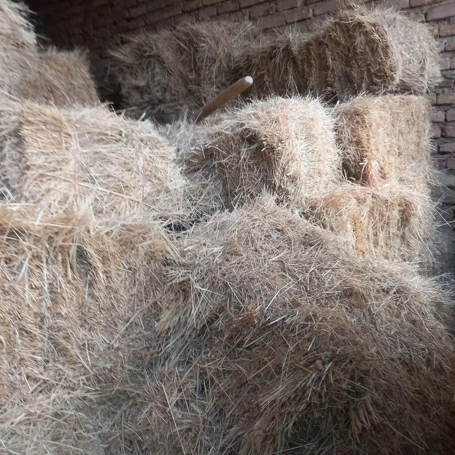 کاه|حیوانات مزرعه|شازند, |دیوار