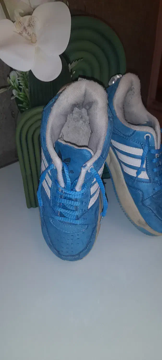 فروش کفش در حد نو|کیف، کفش، کمربند|آباده, |دیوار