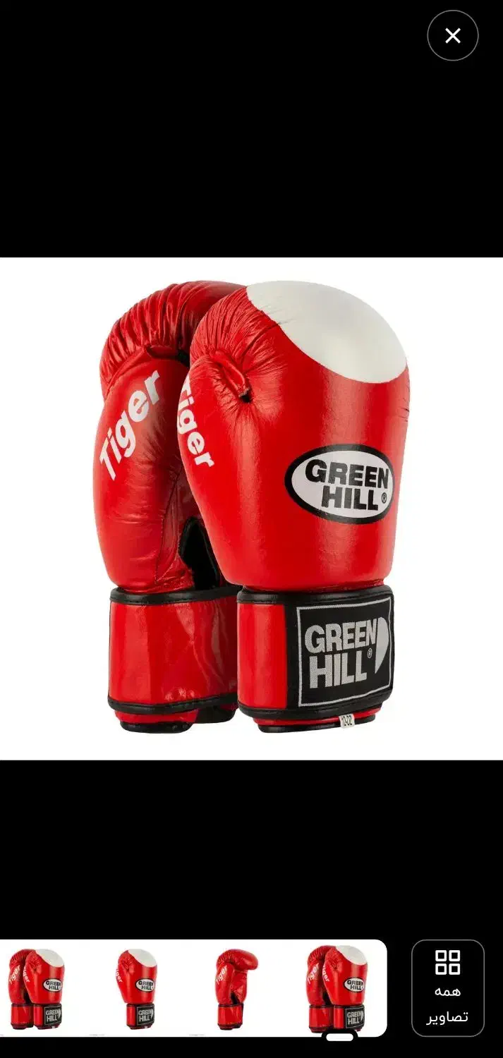 دستکش و محافظ بدن و محافظ لثه بوکس|تجهیزات ورزشی|شاهینشهر, خانه کارگر|دیوار