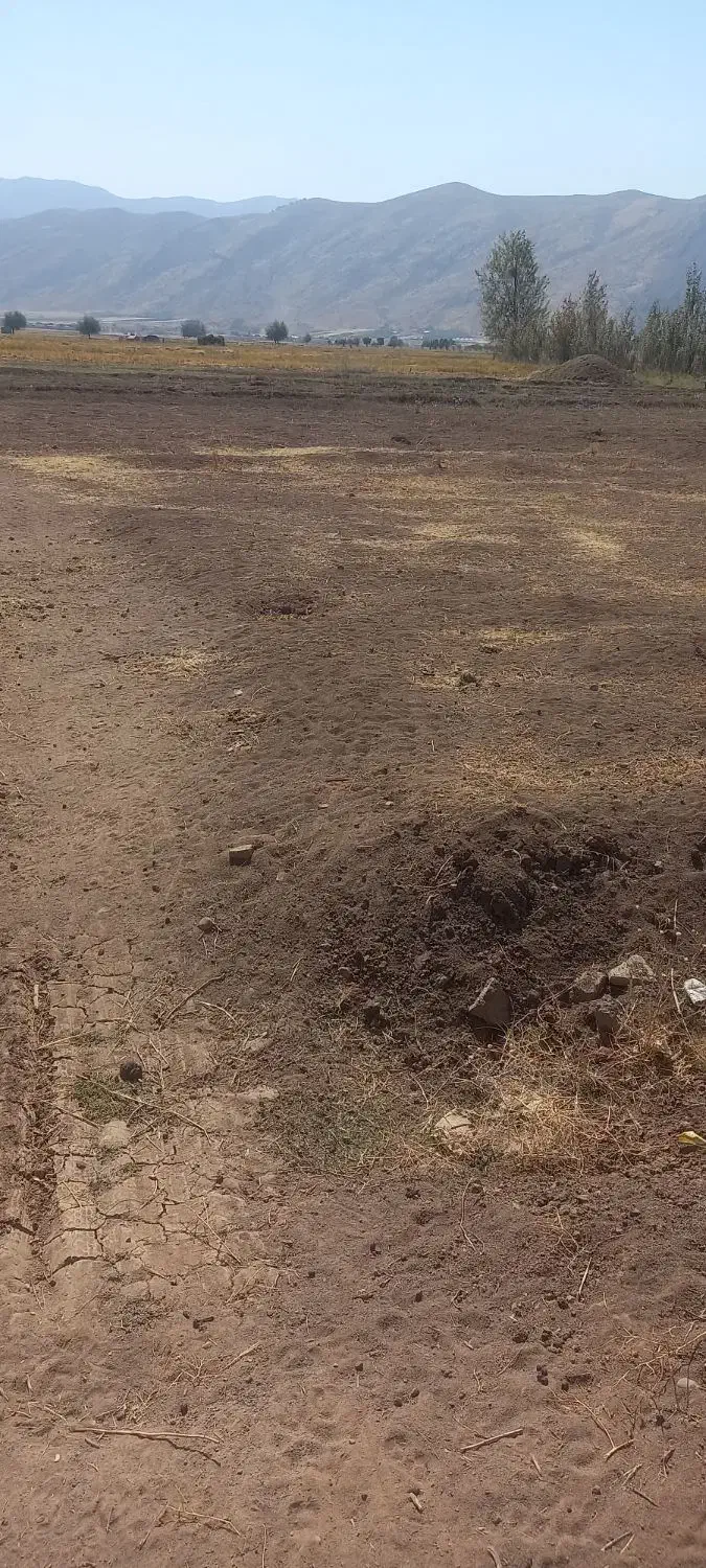 زمین آلونی|فروش زمین و ملک کلنگی|لردگان, |دیوار