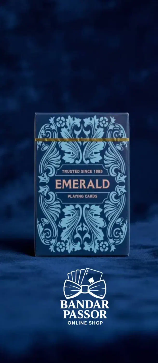 پاسور پادشاه دریا|اسباببازی|بندرعباس, |دیوار