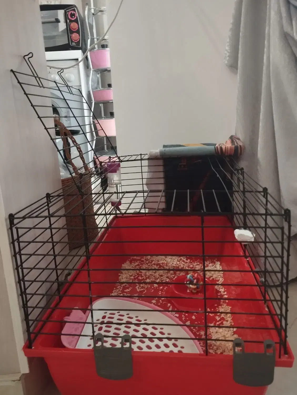 واگذاری خرگوش نر|موش و خرگوش|پرند, فاز ۴|دیوار