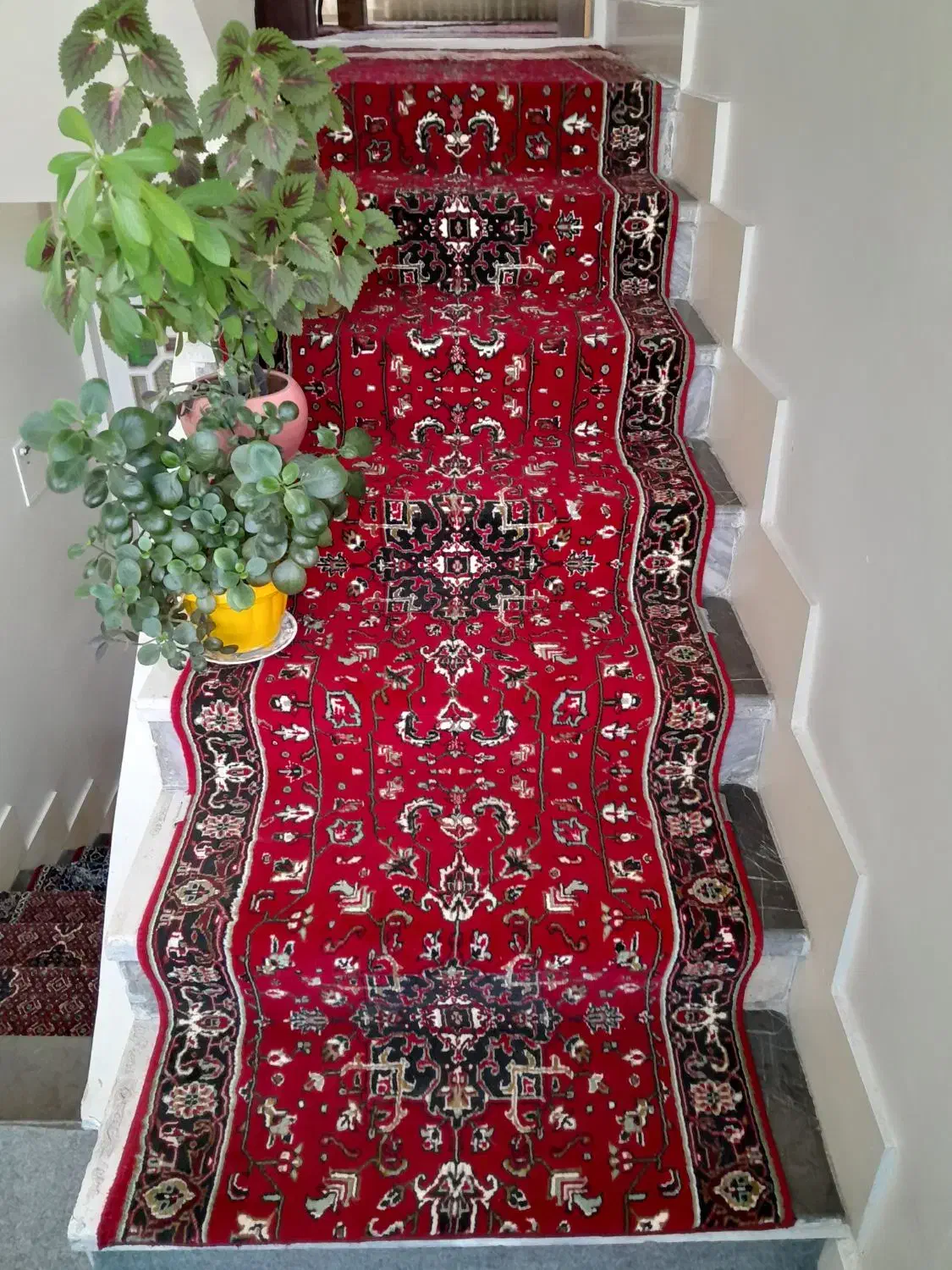 فرش کناره راه پله‌|فرش|زنجان, |دیوار