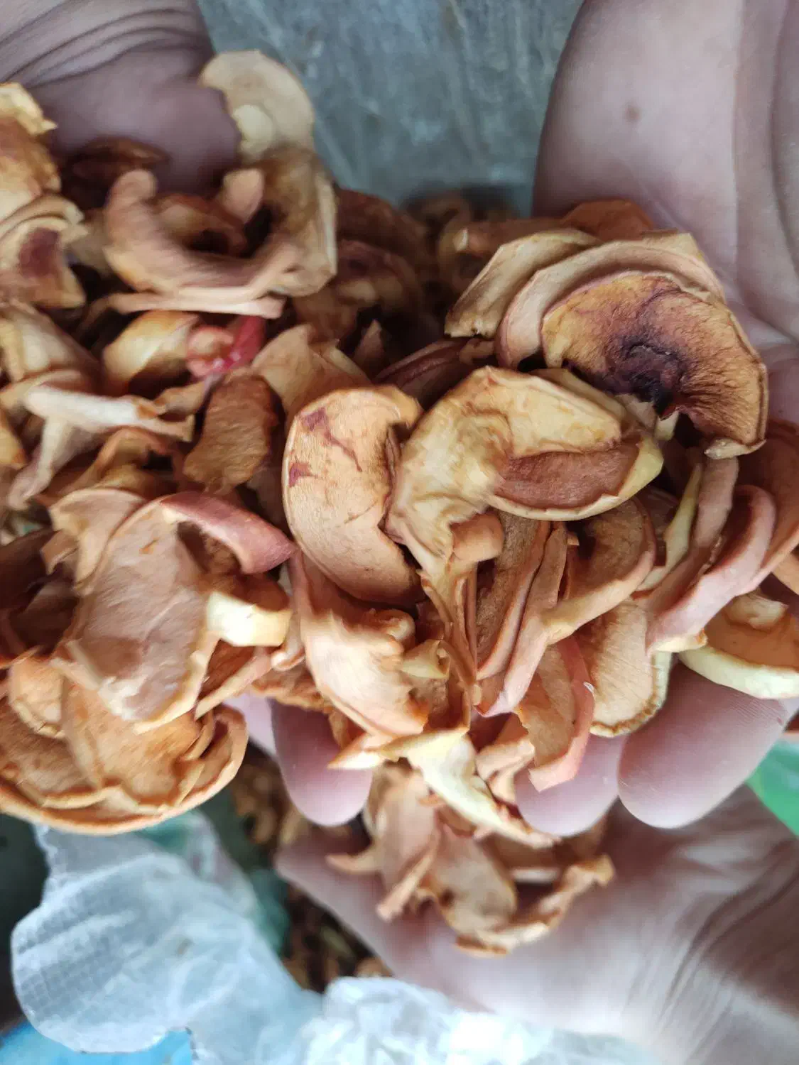 برگه سیب|خوردنی و آشامیدنی|شیراز, شهرک والفجر|دیوار