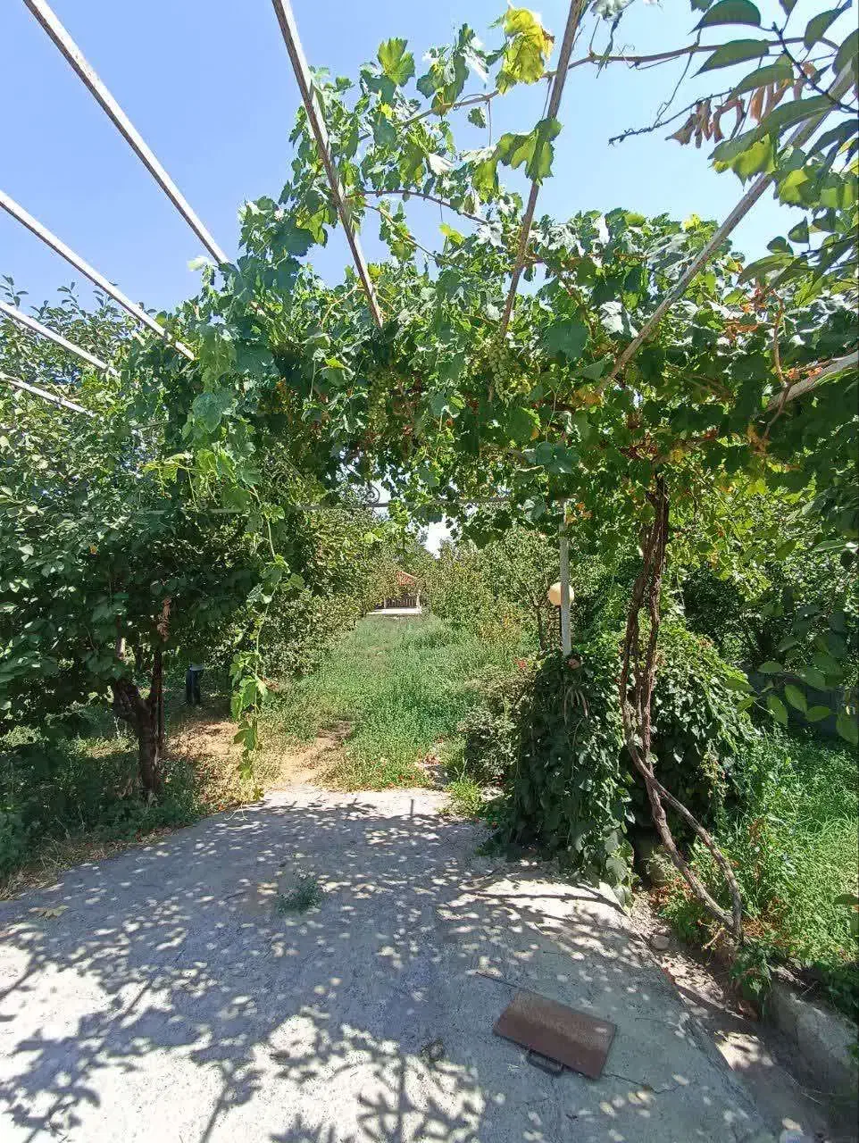 فروش باغ در فیرورق نزدیک جاده|فروش زمین و ملک کلنگی|فیرورق, |دیوار