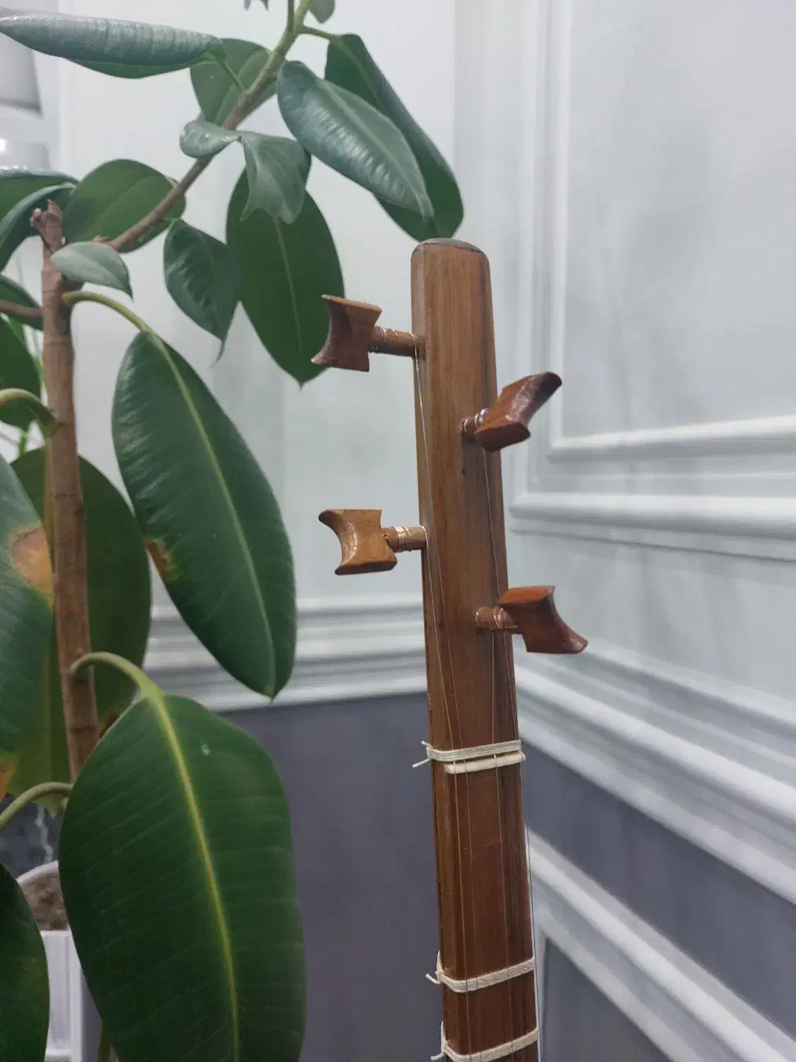 سه تار|سازهای سنتی|کرج, عظیمیه|دیوار