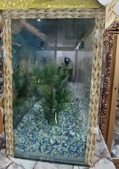 آکواریوم|ماهی|زابل, |دیوار