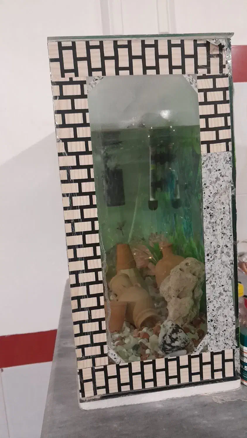 یک عدد آکواریوم ۶میل|ماهی|مراغه, |دیوار