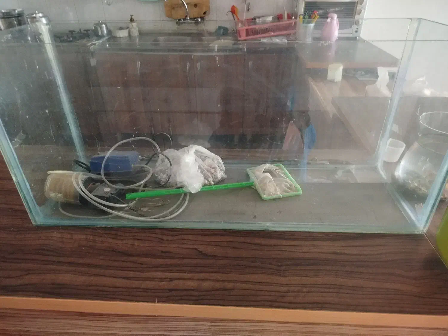 آکواریوم|ماهی|اهواز, زیتون کارمندی|دیوار