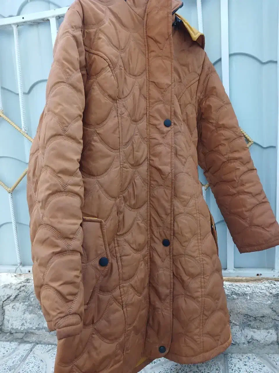 کاپشن زنانع|لباس|دورود, |دیوار