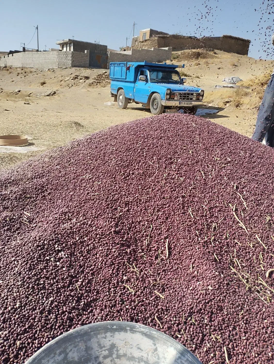 لوبیا سفید .قرمز .فروشی به صورت عمده|خوردنی و آشامیدنی|چنارود, |دیوار