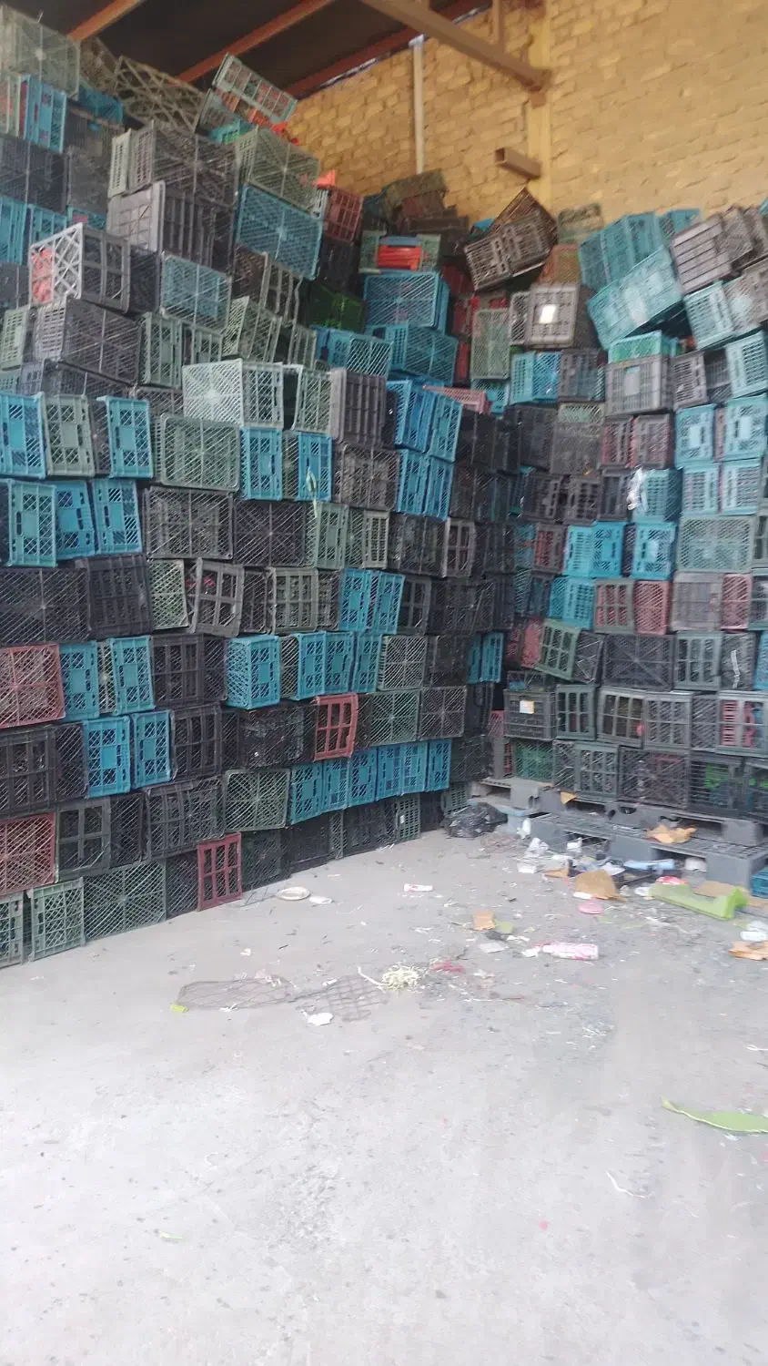 خرید و فروش سبد|عمده‌فروشی|مشهد, نوید|دیوار