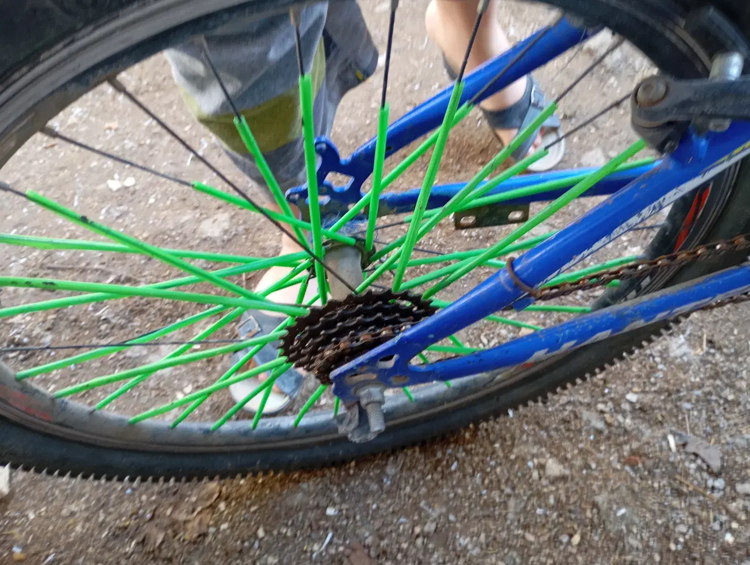 دوچرخه|دوچرخه، اسکیت، اسکوتر|چاراویماق, |دیوار