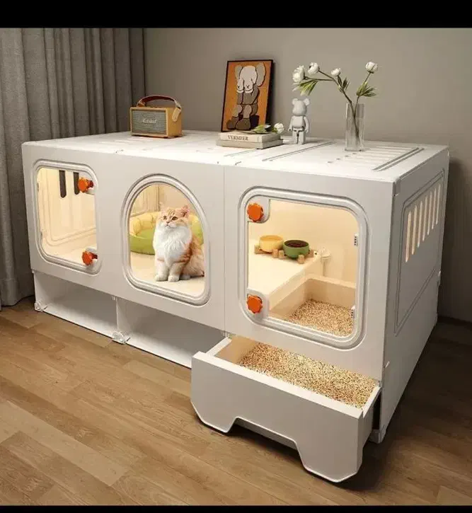 خانه رویایی برای پت های خانگی شما|لوازم جانبی حیوانات|اردبیل, |دیوار