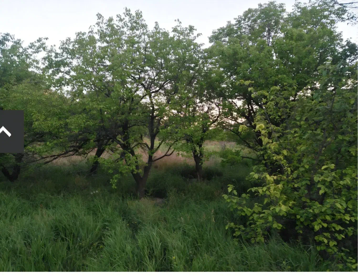 استخدام زوج سرایدارجهت باغ وویلاهمراه بااسکان|استخدام سرایداری و نظافت|ملکآباد, |دیوار