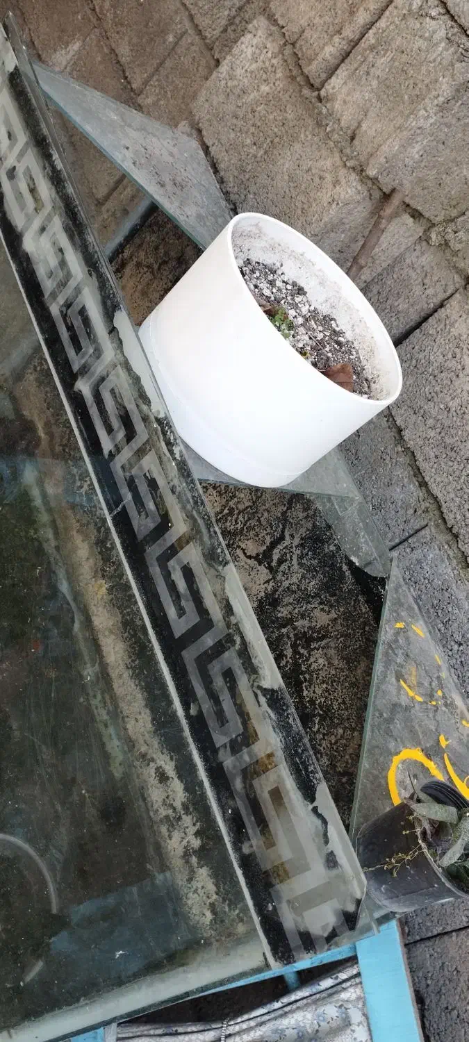 آکواریوم|ماهی|چالوس, |دیوار