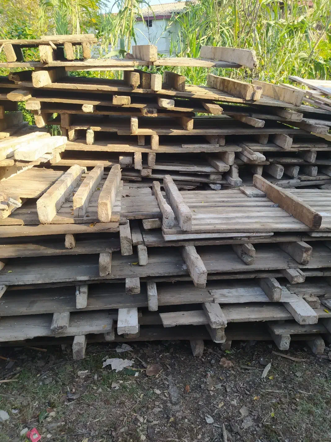 فروش تخته قالب و ۴ تراش قالب بندی|مصالح و تجهیزات ساختمان|محمودآباد, |دیوار