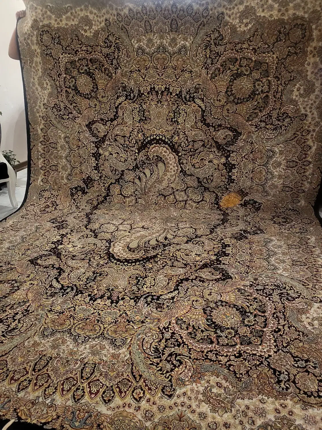 فرش ۹ متری ماشینی کاشان|فرش|پردیس, فاز ۸|دیوار