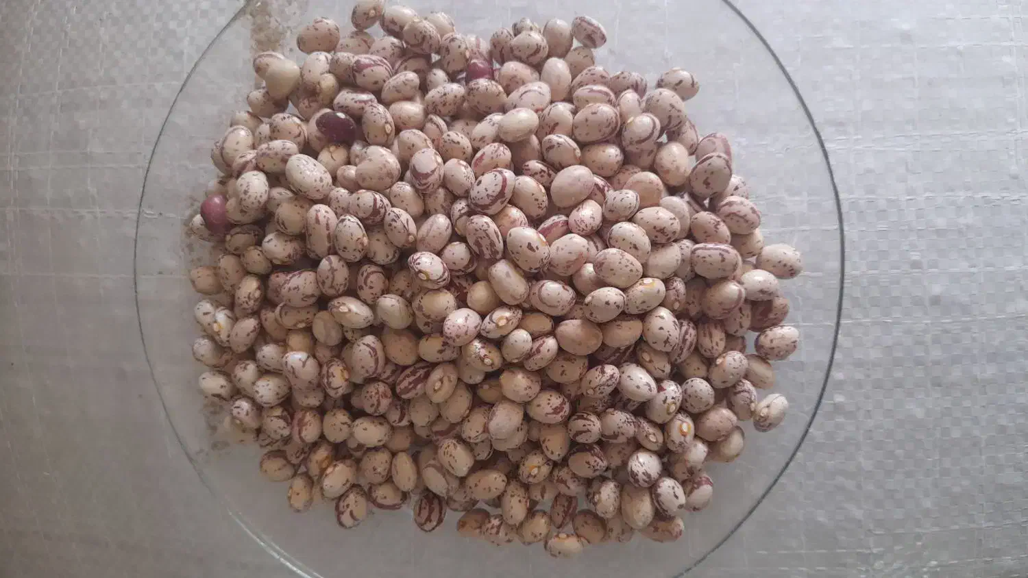 لوبیا چیتی|خوردنی و آشامیدنی|مرودشت, فرهنگ|دیوار