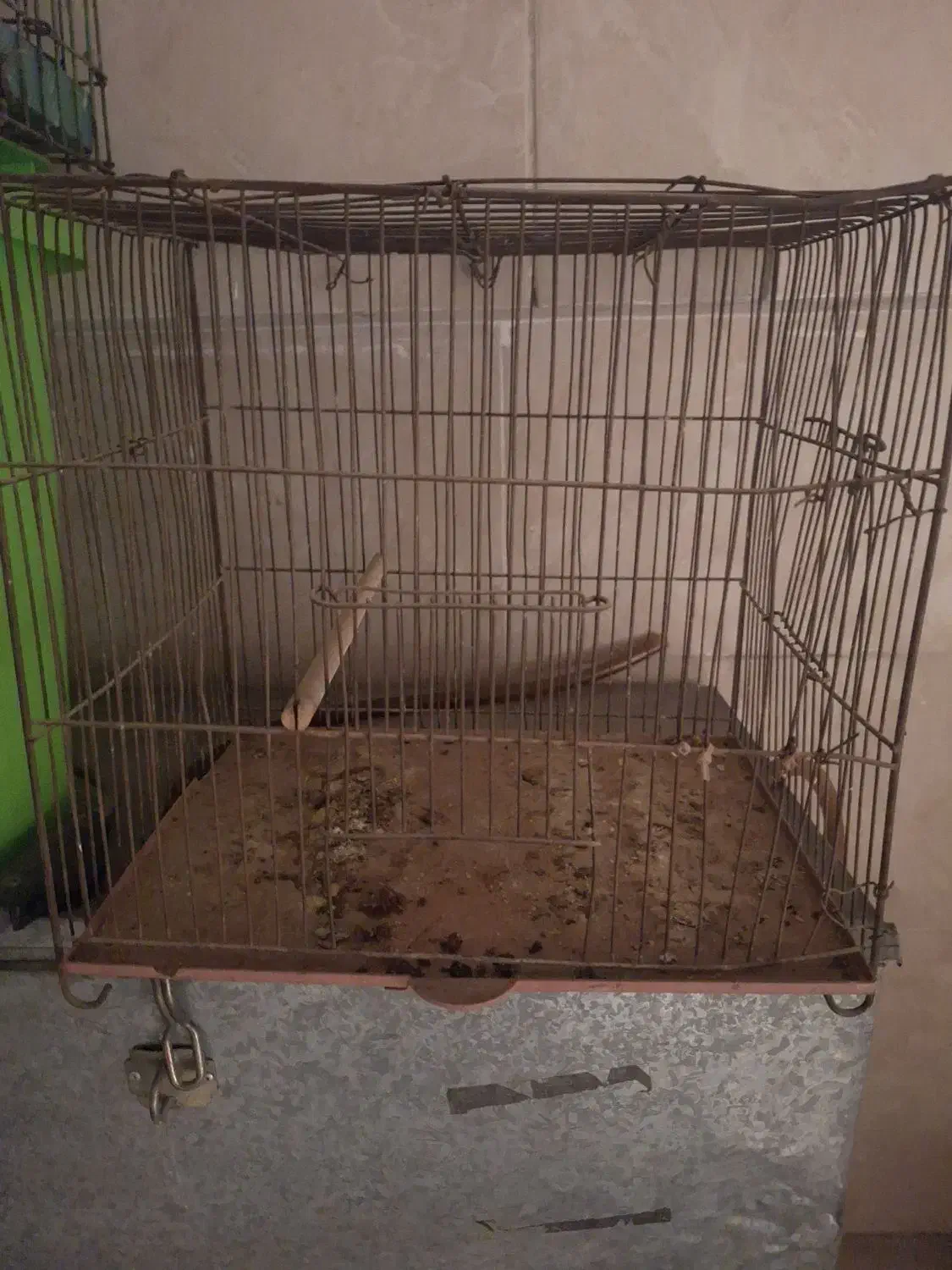 قفس پرنده|لوازم جانبی حیوانات|اهواز, کمپلو شمالی|دیوار