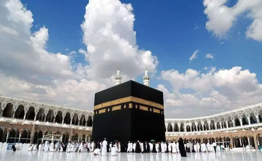 فیش حج واجب|تور و چارتر|تهران, باغ خزانه|دیوار