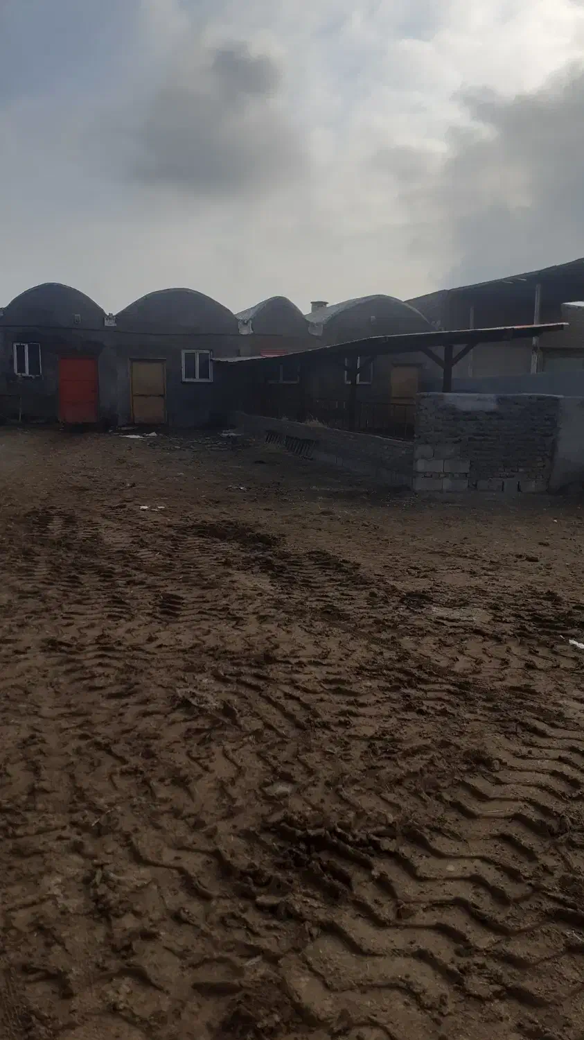 یک دستگاه دامداری 200راسه|فروش دفتر صنعتی، کشاورزی، تجاری|اردبیل, |دیوار