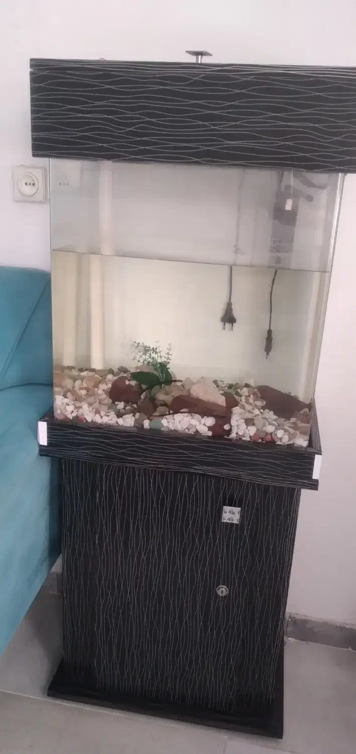 اکواریوم|ماهی|محمدشهر, سیدآباد|دیوار