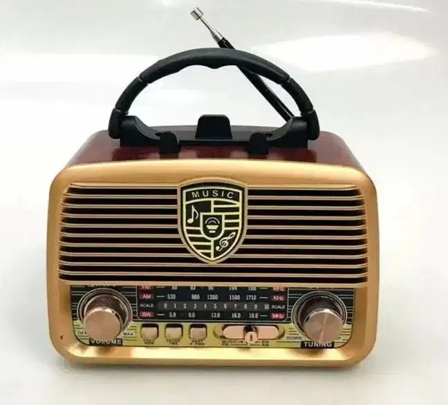 رادیو اسپیکر RXBT1110|سیستم صوتی خانگی|دزفول, |دیوار