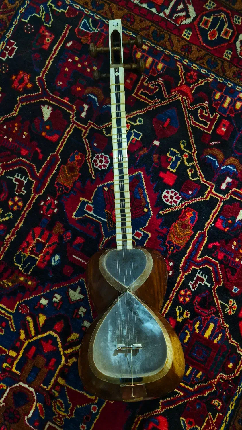 تار حرفه ای اعلا میثم علیاری|سازهای سنتی|پاکدشت, پاکدشت (مامازند)|دیوار