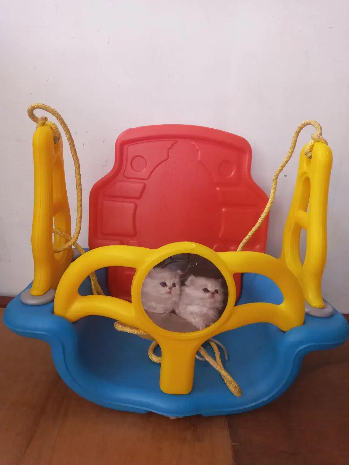 تاب.سایزبزرگ|اسباب و اثاث بچه|برازجان, |دیوار