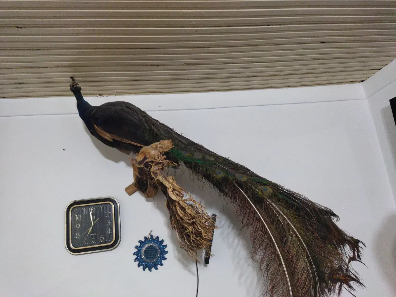 تزینی|صنایع دستی و سایر لوازم تزئینی|نوشهر, |دیوار