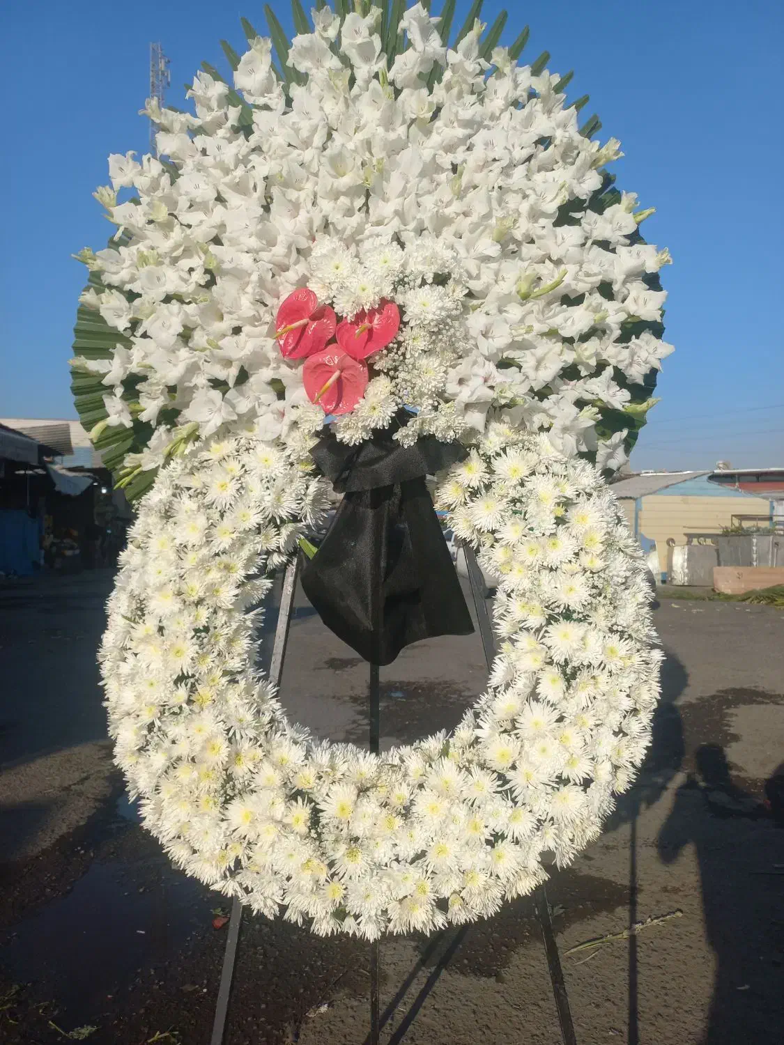 تاج گل قیمت مناسب ترحیم|گل و گیاه طبیعی|ری, تقی آباد|دیوار