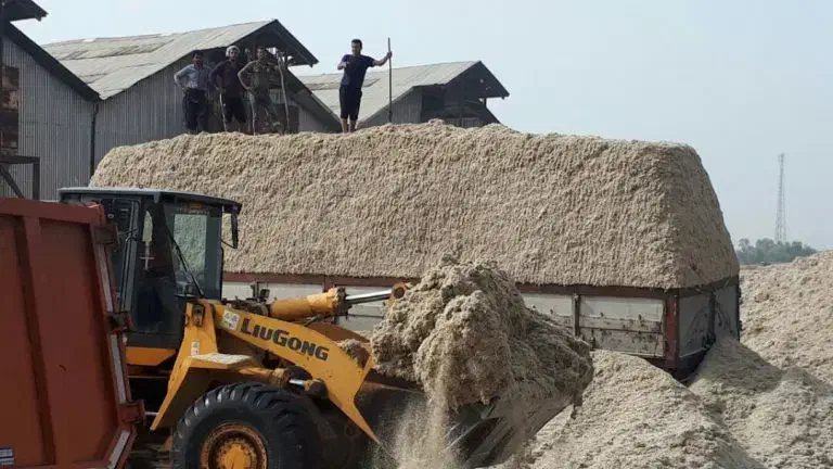 کاه|لوازم جانبی حیوانات|شیراز, محمدیه|دیوار