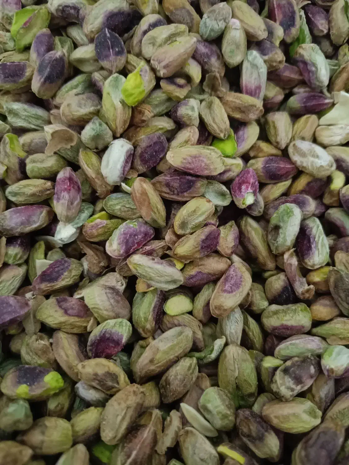 مغز پسته|خوردنی و آشامیدنی|قم, سراجه (۱۵ خرداد)|دیوار