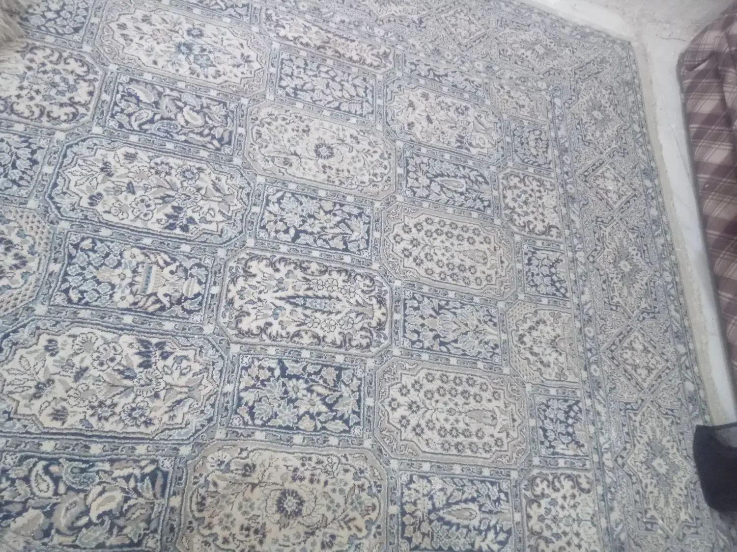 فرش ۶متری|فرش|رشت, دیانتی|دیوار