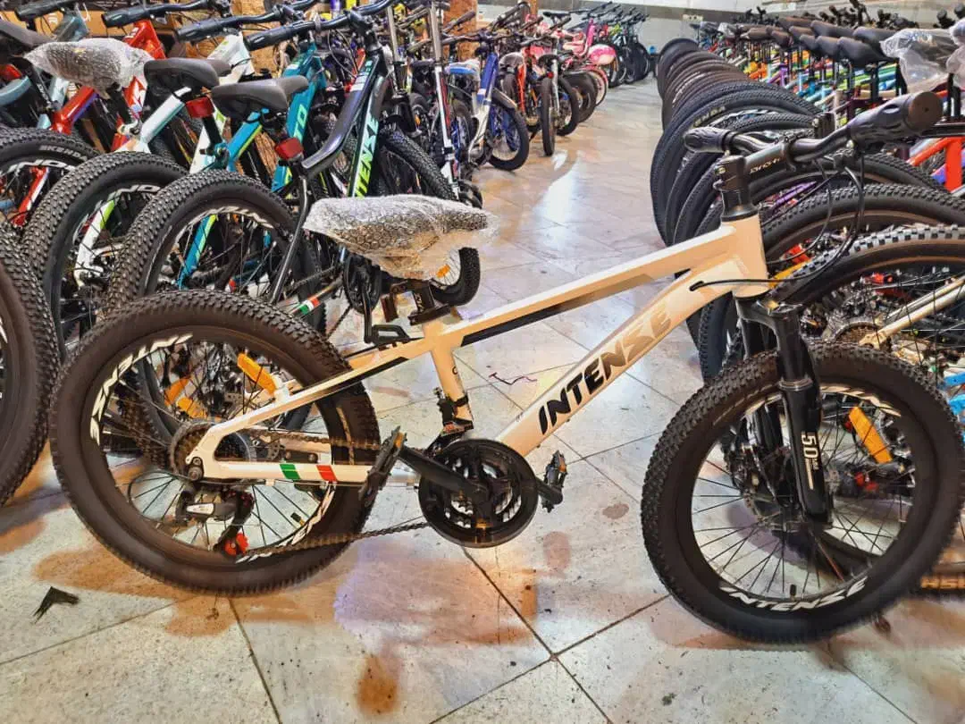 دوچرخه های ۲۰و۲۴ اینتنز۱۰درصدتخفیف فروش نقدی|دوچرخه، اسکیت، اسکوتر|کرج, شهرک نهال و بذر|دیوار